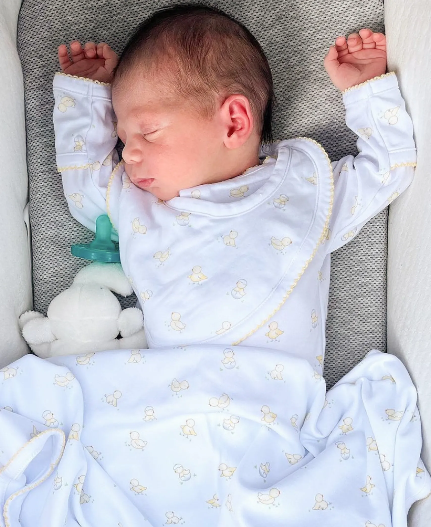 Hatchlings Print Bib