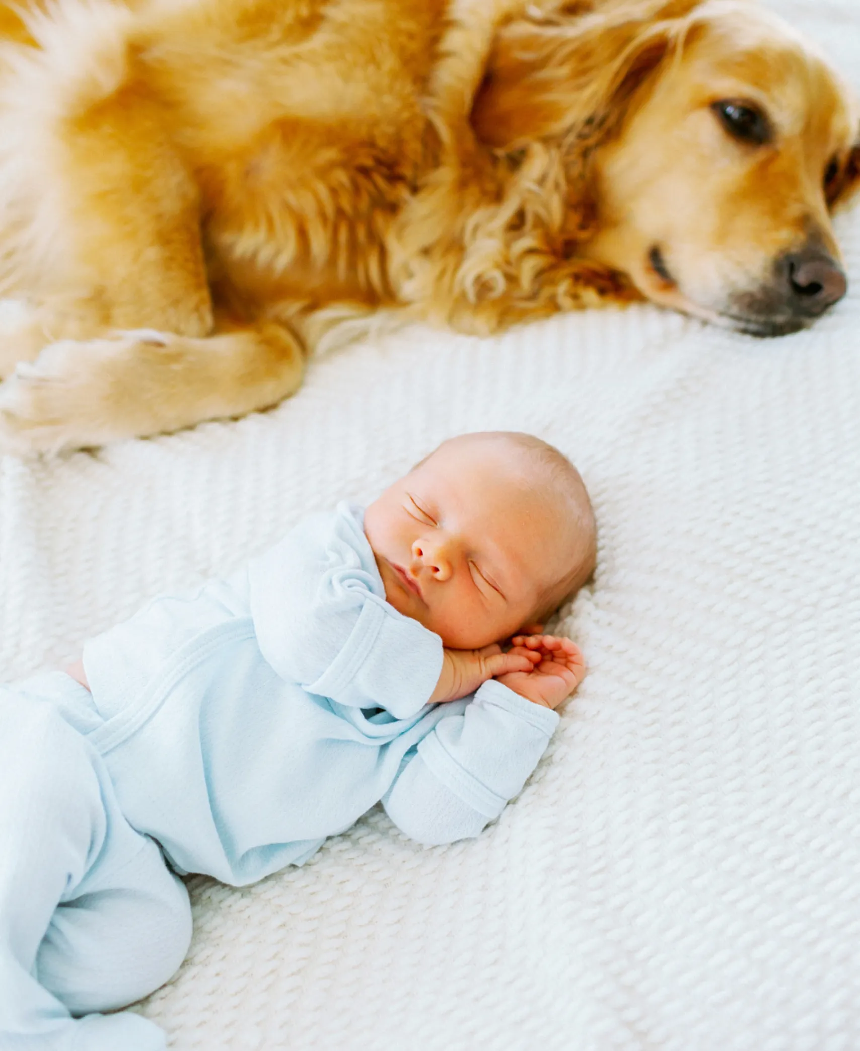 Kissy Pointelle Blue Take Me Home Gift Set